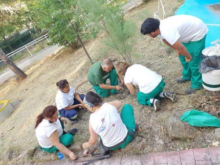 Actividades auxiliares en viveros, jardines y centros de jardinería. Instalación y mantenimiento de jardines y zonas verdes