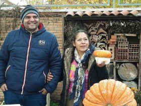 Segundo premio a la calabaza más rara